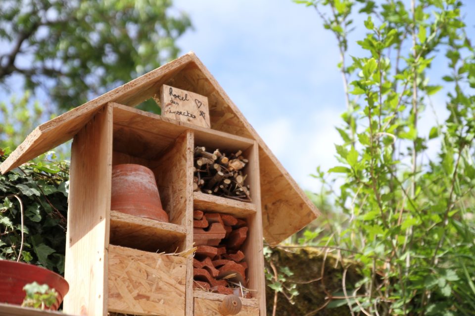 Comment placer un hôtel à insectes ?